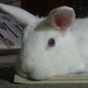 Meet your Posher, Alanna